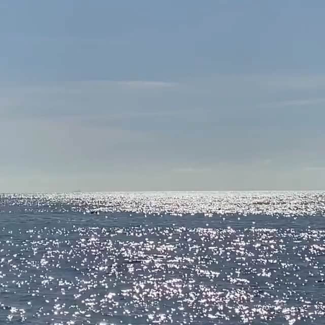 ブルーライフのインスタグラム：「could stare at this forever 💫#shopplanetblue」