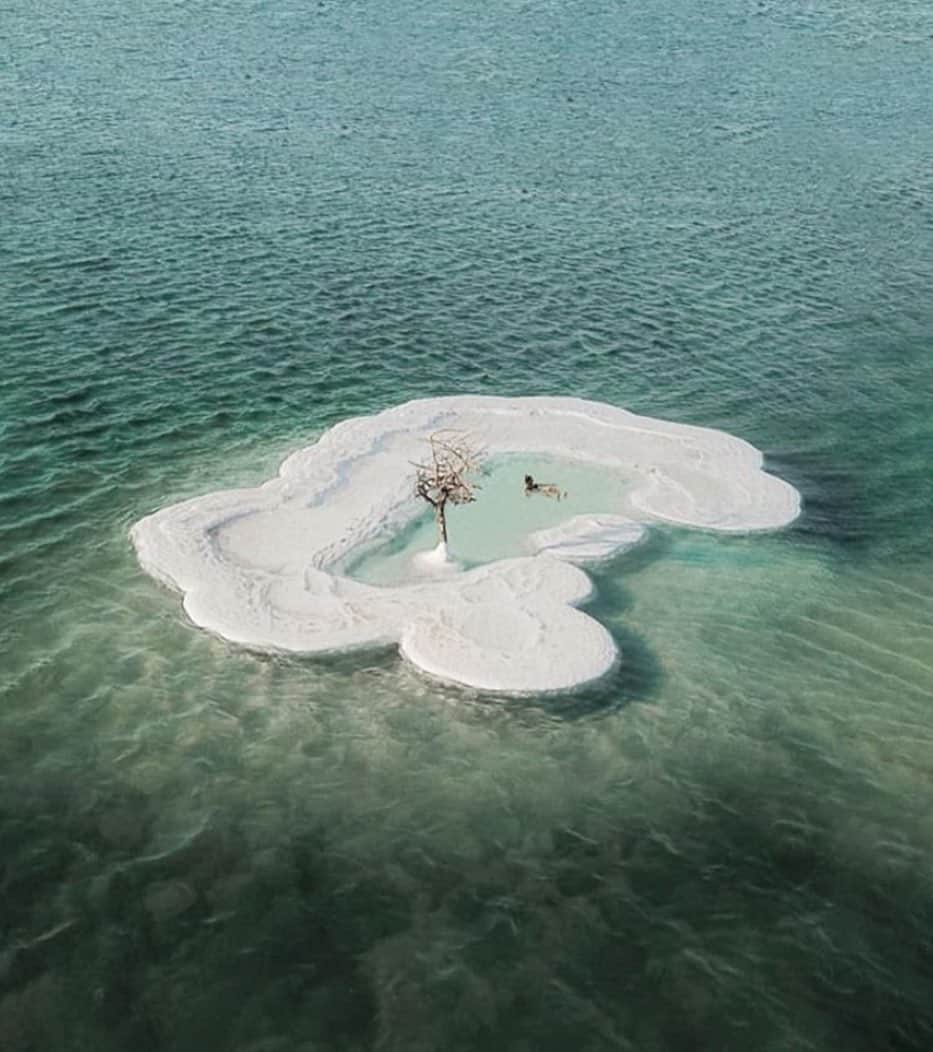 グラフ&ランツのインスタグラム：「A real socially distant island getaway / the Dead Sea photographed by @sruthi.co」