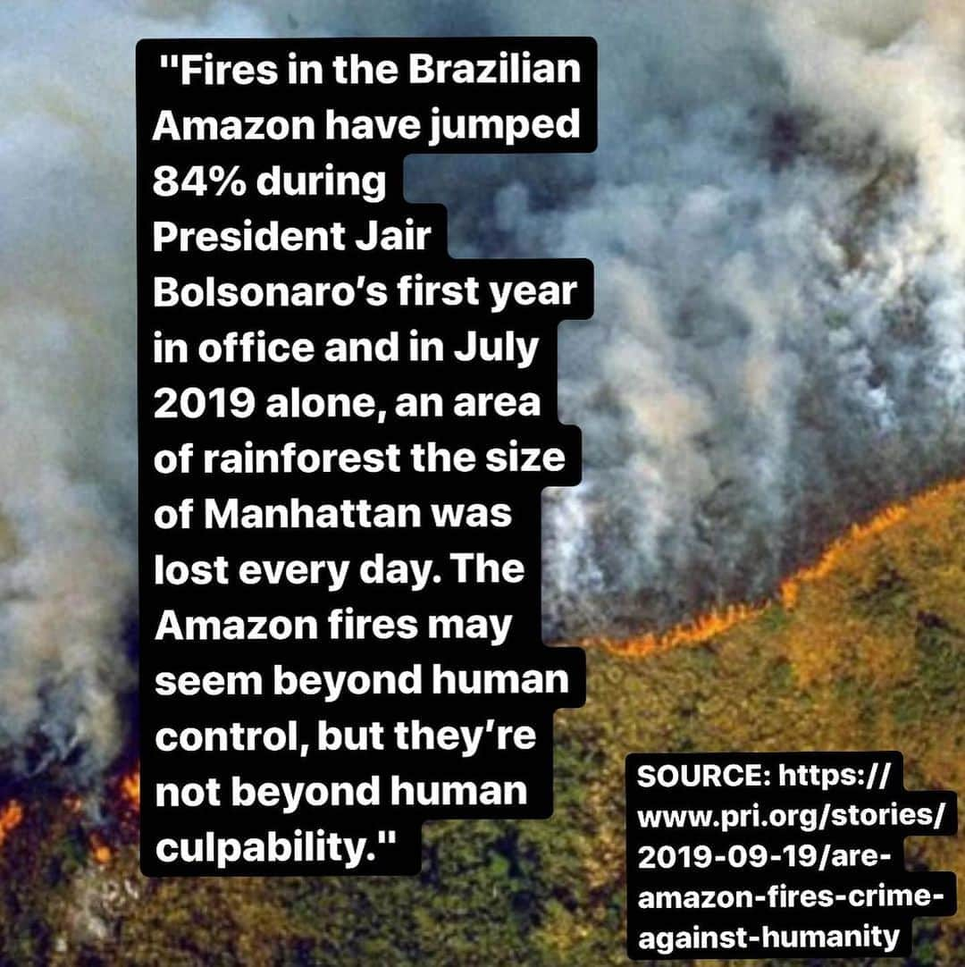 キャメロン・ラッセルさんのインスタグラム写真 - (キャメロン・ラッセルInstagram)「THE FUTURE IS NOT A LUXURY. 2020 fire season is coming and Bolsonaro is burning the Amazon. His leather cartel is selling to big brands. @nike @Adidas @gucci: can you guarantee you are not buying from farmers illegally burning down the Amazon? Are you doing everything you can not to fund Bolsonaro and his partners? #AmazonOrBolsonaro #WhichSideAreYouOn   Fashion workers, influencers, consumers on social media. Our voices matter. This is an important pressure point. We must defund Bolsonaro to protect the Amazon. Please share and ask these brands to trace their leather supply chains now. @defundbolsonaro」8月5日 4時26分 - cameronrussell