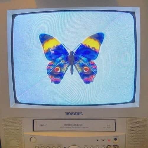 LOCAL HEROESさんのインスタグラム写真 - (LOCAL HEROESInstagram)「Butterfly effect with Ashton Kutcher on vhs before bed 📼」8月5日 5時06分 - localheroes