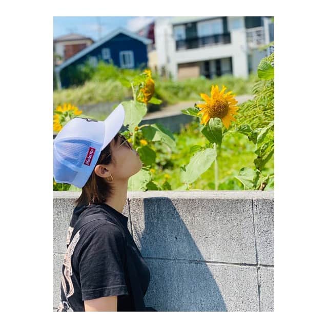 中山こころさんのインスタグラム写真 - (中山こころInstagram)「* 五分咲きひまわり🌻 と 満開ひまわり🌻 * 歩いてると所々にひまわり咲いてて 明るい気分になるね💛 * 久しぶりにお散歩して 汗かきました🥵🥵🥵 * #ひまわり #1番好きな花  #汗だく #熱中症注意  #sunflower」8月5日 15時53分 - coocoorooo