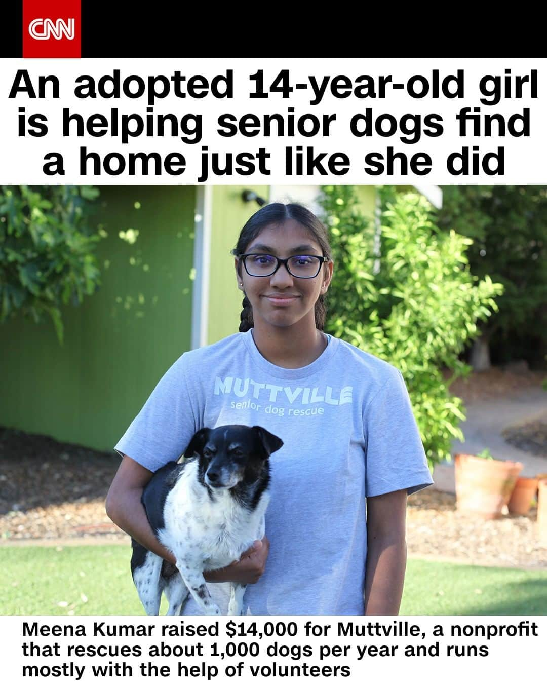 CNNさんのインスタグラム写真 - (CNNInstagram)「When Meena Kumar was nine months old, she was found abandoned in a basket on a college campus. Now, she's 14 and has raised $14,000 for senior dogs who have been left behind. "More people should adopt senior dogs," said Meena, who was adopted and now lives in San Jose, California. "They give you the same unconditional love as any other dog." 🐕 Tap the link in bio for more. ⁠ (📸: Jayashree Subrahmonia)⁠」8月5日 16時01分 - cnn