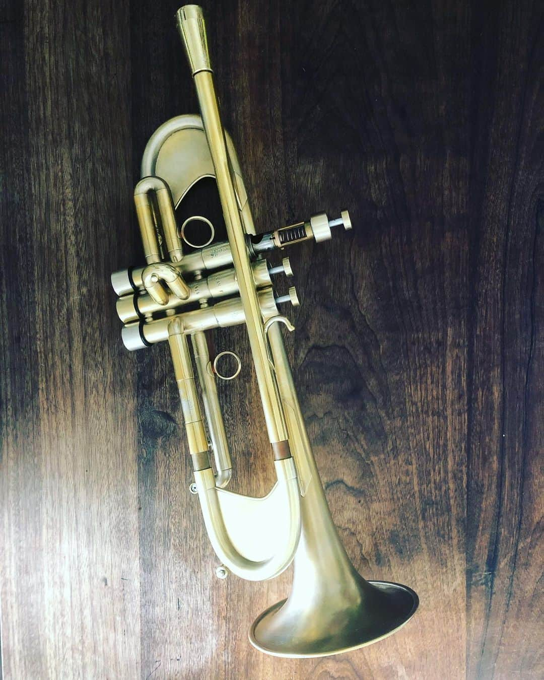 タブゾンビさんのインスタグラム写真 - (タブゾンビInstagram)「ひゅーっ  @ar_resonance   #arresonance  #monettetrumpet  #trumpet #parts #valveguide #トランペット #バルブガイド」8月5日 16時19分 - tabuzombie