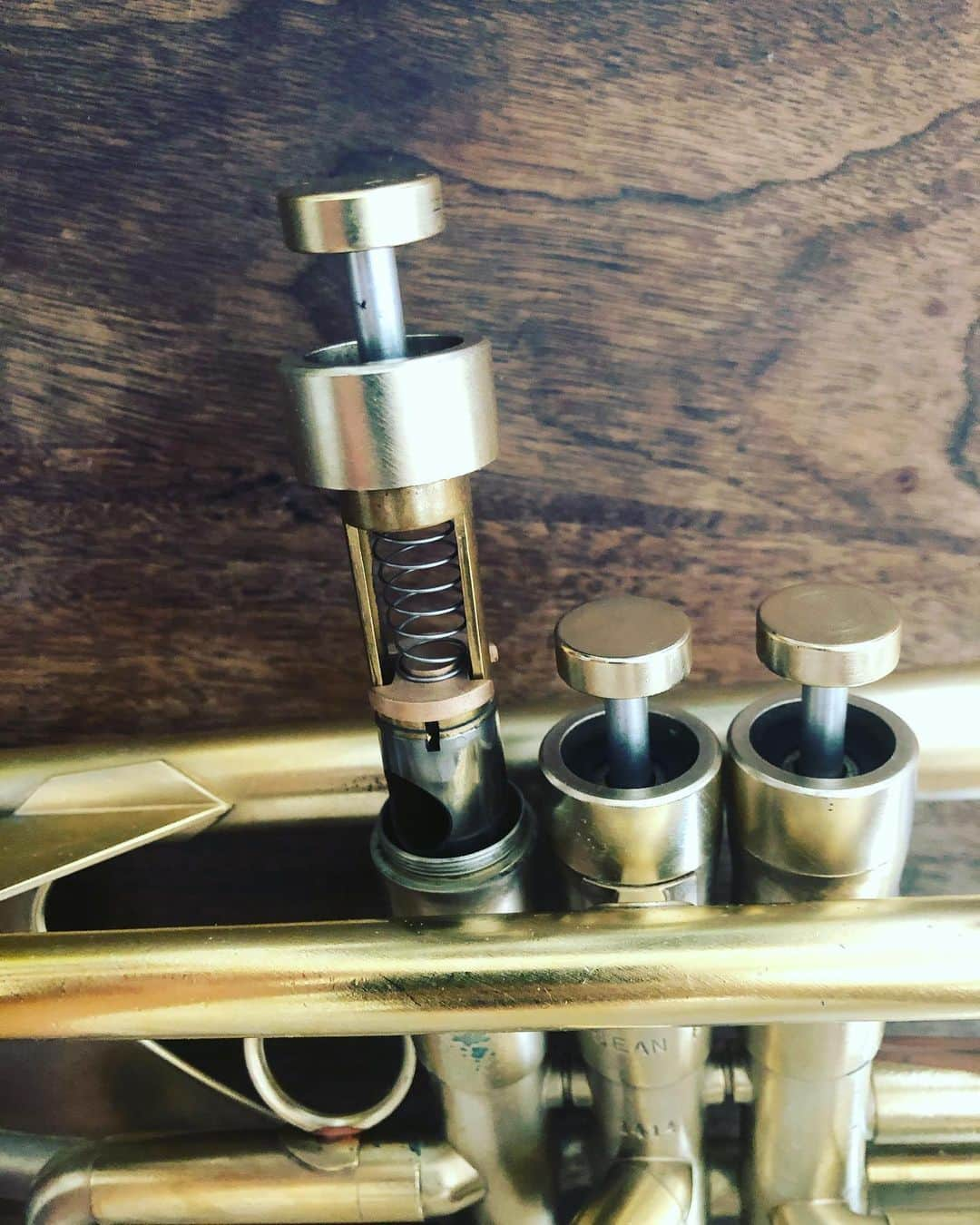 タブゾンビのインスタグラム：「ひゅーっ  @ar_resonance   #arresonance  #monettetrumpet  #trumpet #parts #valveguide #トランペット #バルブガイド」