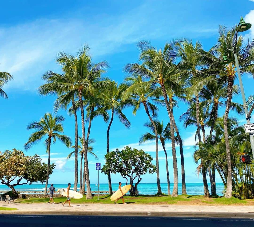 マキ・コニクソンさんのインスタグラム写真 - (マキ・コニクソンInstagram)「Good morning from Hawaii!! 今日もお天気のハワイです！☀️😎 最近なんかバタバタしてるからここらで深呼吸していったんリセットしなきゃ。ネイバーアイランドにでも行ってこようかな？🤔 小旅行✈️🧳気持ちのリセットって大切だよね！自分を楽しい気持ちにさせるのが一番！私はサーフボードを抱えてるサーファ達を道で見かけると何故か分からないけどワクワクするの！🏄‍♀️🏄🏄‍♂️ 今日もお互いやる気スイッチを入れてアロハッピーで過ごしましょう！😄🤙🏼 #エアハワイ🌺  #リアルハワイ」8月5日 7時36分 - makikonikson