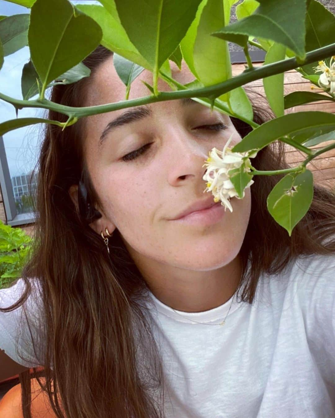 アリー・レイズマンさんのインスタグラム写真 - (アリー・レイズマンInstagram)「Just hanging under my baby lemon tree. It takes a while before the lemons turn yellow. The flowers on the tree smell sooooo good. Does anyone else enjoy smelling the different scents from nature or is it just me? 😂」8月5日 7時42分 - alyraisman