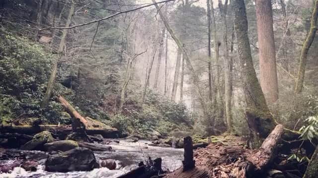 3 Doors Downのインスタグラム：「How ‘bout some peaceful vibes for today... ✌🏼🌲💧  - @brad3doorsdown #repost」