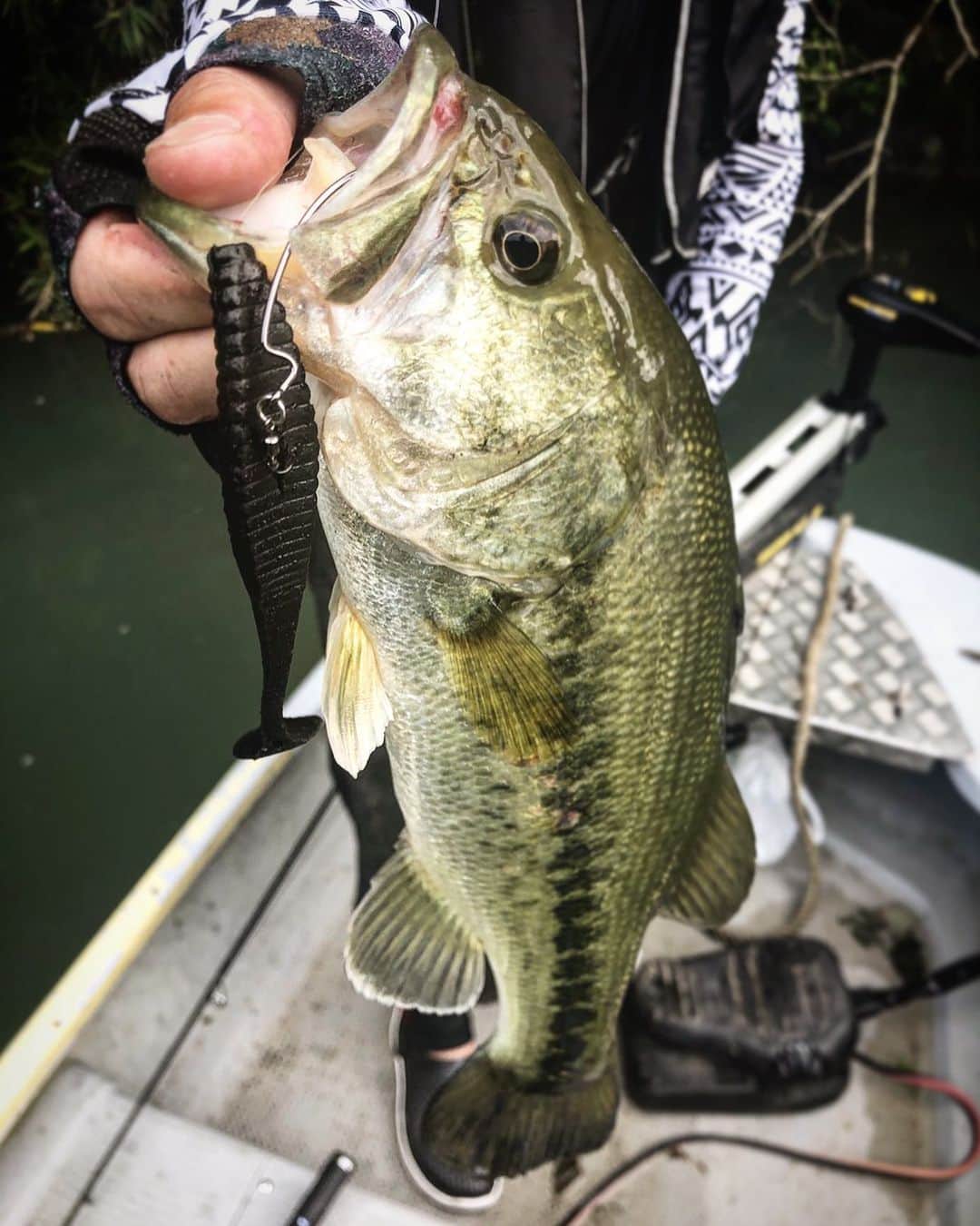 人時のインスタグラム：「先日の相模湖は流れのよれのカバーが良かった^ ^カバー横をスタッガーノーシンカーで巻いてくるとカバーから飛び出してきてのバイトが結構ありました。  4インチの黒に反応が多かったなー。 濁りにはやっぱり黒ですねー^ ^  #hideup #スタッガー4インチ」
