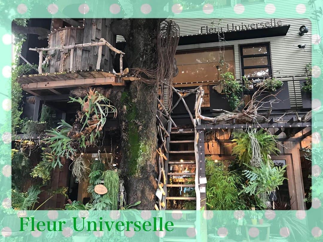真坂美帆のインスタグラム：「⋆❁.* カフェめぐり♡ 都会の癒し系カフェ✨ 「レ・グラン・ザルブル」 ・ 広尾の街を歩いていると ここだけグリーンの空間が広がっていました。 ・ １階はお花屋さん🌸✨ お花を見たり、カフェしたり、まったり過ごしたくなります。 ・ ※中の写真は、以前撮影したものです ・ ・ #ootd : @lerevevaniller  ・ ・ #カフェ #カフェ巡り #広尾カフェ #東京カフェ  #グリーンカフェ #レグランザルブル #癒しの空間  #コーデ #ガーリーコーデ #大人ガーリー  #声優 #真坂美帆」