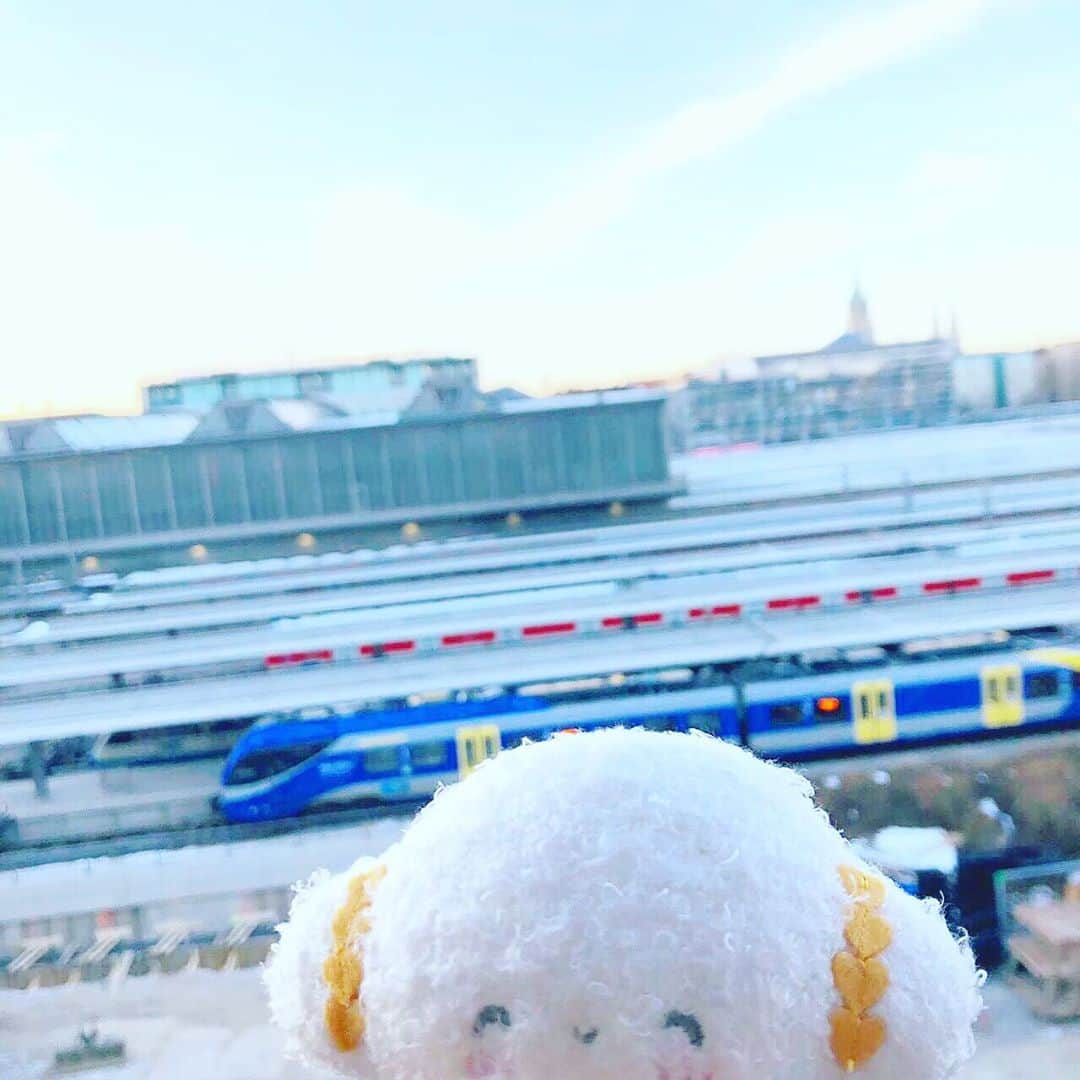こぎみゅん（サンリオ）のインスタグラム：「梅雨明けたみゅん･･♪ 今日も1日エビちゃんとゆったりがんばるみゅん！  #サンリオ #キャラクター #小麦粉の妖精 #こぎみゅん #sanrio #character #cogimyun」