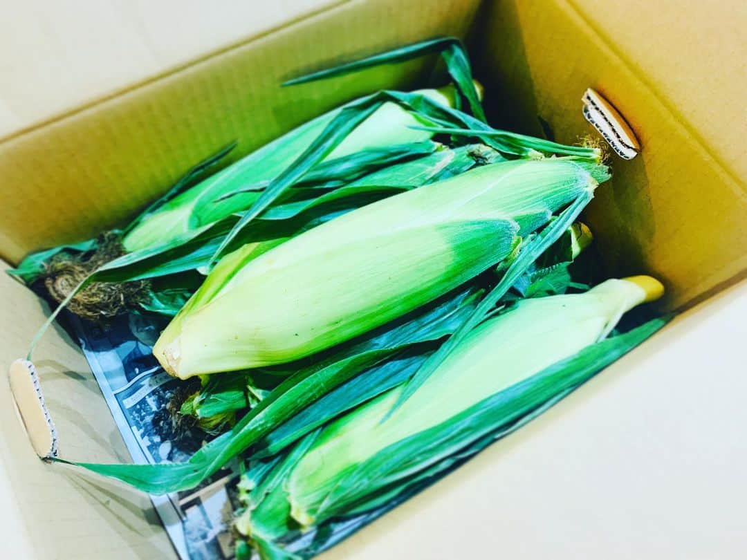 のインスタグラム：「北海道からの贈り物！  夏野菜ってたまらなく好き、、 どう調理してやろうかと ワクワクしながら 野菜室で休ませています (静かにテンションあがり中) 風鈴の鳴る縁側に座って かぶりつきたいな  遠くに居ても げんき？って 想ってもらえてる感じがして とっても温かい気持ちになりました☺︎  #corn #hokkaido #vegetables #summer #gift #love #friend #family #teacher #sister #respect #love #life #thanks」