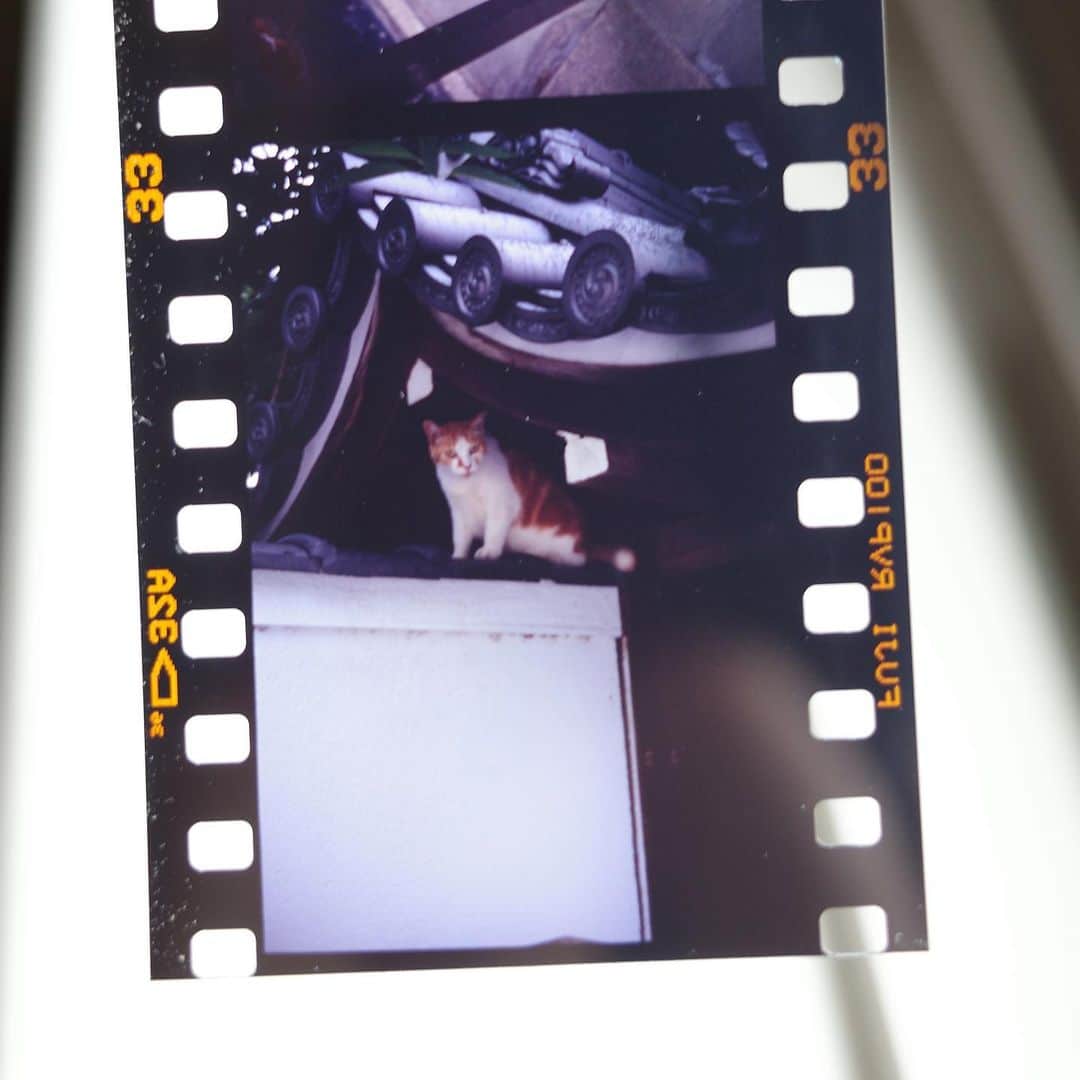 奇妙礼太郎さんのインスタグラム写真 - (奇妙礼太郎Instagram)「#filmphotography  #reversalfilm #リバーサルフィルム #ポジフィルム」8月5日 12時19分 - reitaro_strange
