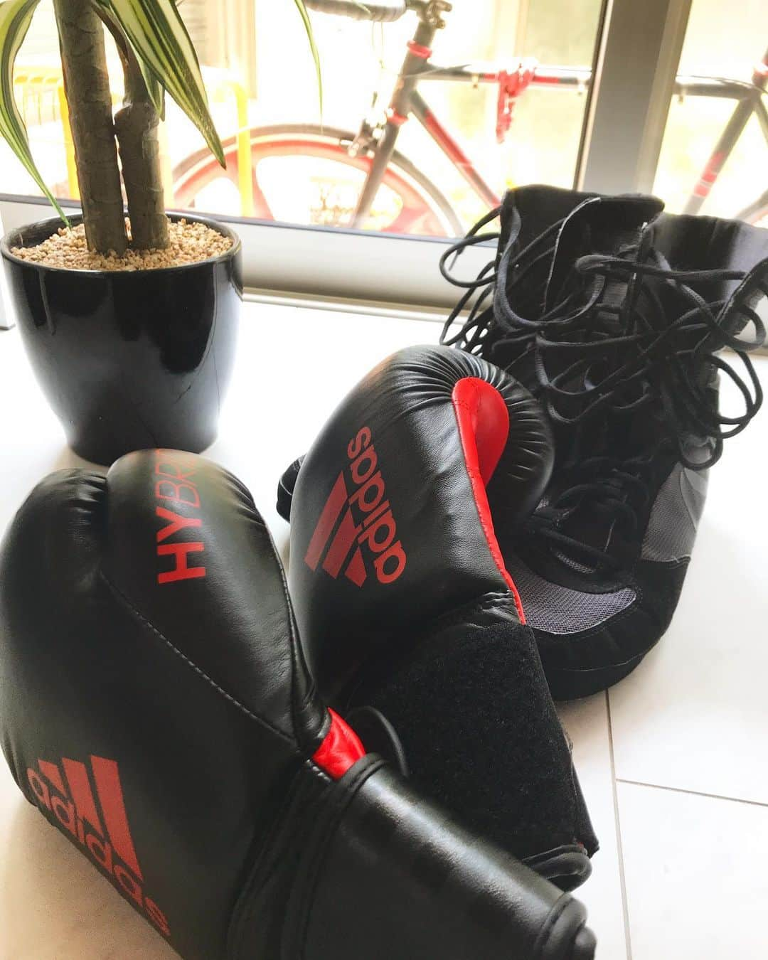 山本佳志さんのインスタグラム写真 - (山本佳志Instagram)「My Boxing gear  今から一緒に これから一緒に 殴りに行こうか  暑さにもコロナにも負けん。  #世代を問う #曲名クイズ #名曲 #本日も快晴 #夏日和 #拳を使おう #boxing」8月5日 12時28分 - keishi_show_wa