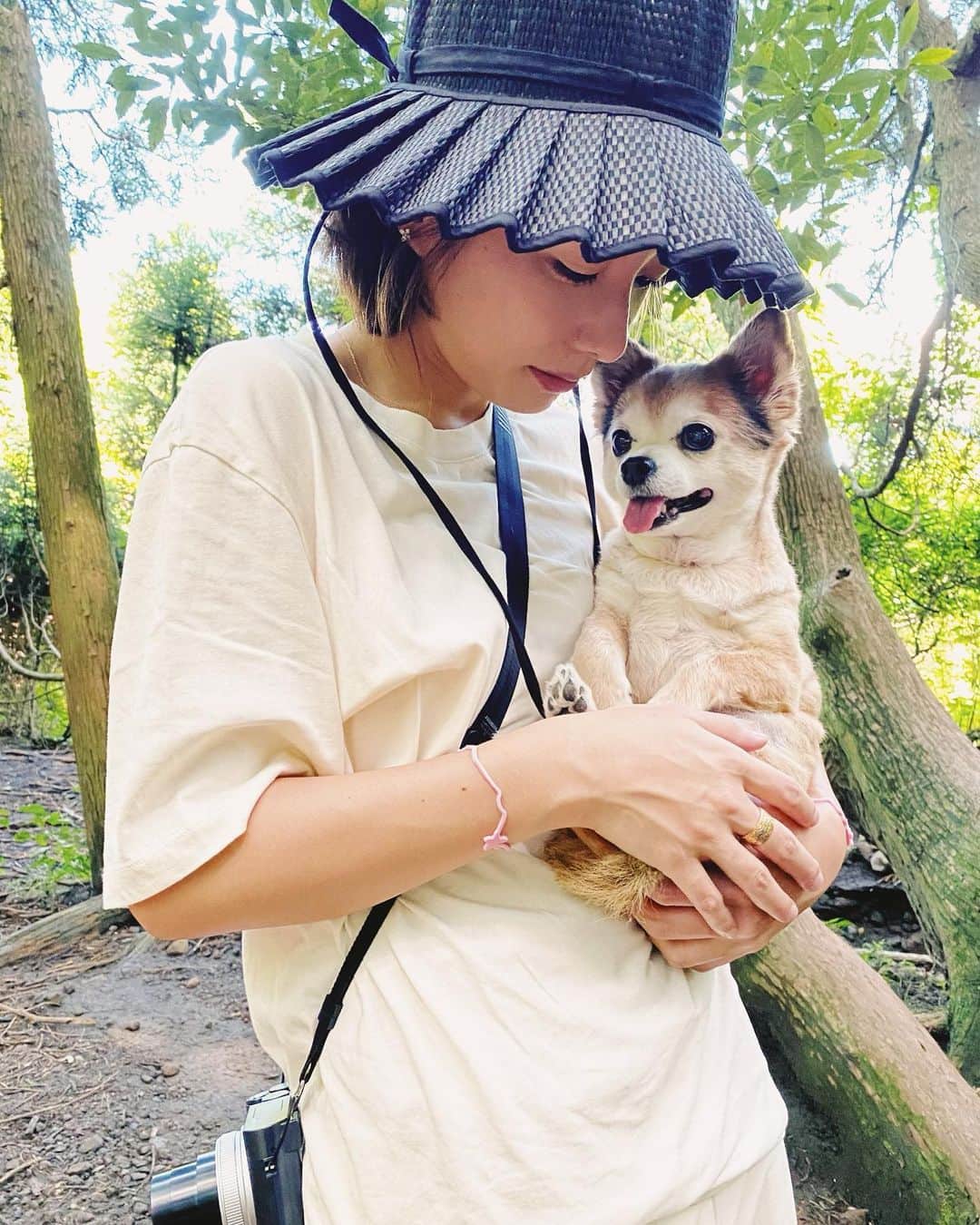 イアリサのインスタグラム：「大好きな木に こちらデコちゃんです って挨拶してきた🌲🐶」
