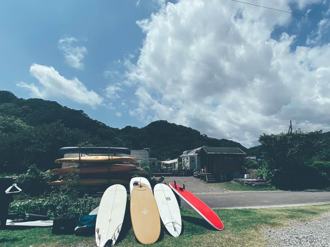 藤田敦子のインスタグラム：「ㅤ いきなりセミさんが元気に。 ミンミンミン。 ㅤ いつもセミさんの最後の瞬間に 立ち会うことが多くて 暴れまくられてかなりの恐怖なのですが 瞑想するようになって、少しずつ 変わってきてる気がする。」
