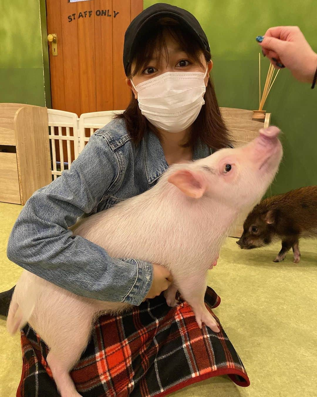 久住小春さんのインスタグラム写真 - (久住小春Instagram)「いつかの🐖 かわいい🐖」8月5日 13時08分 - koharu_kusumi.official