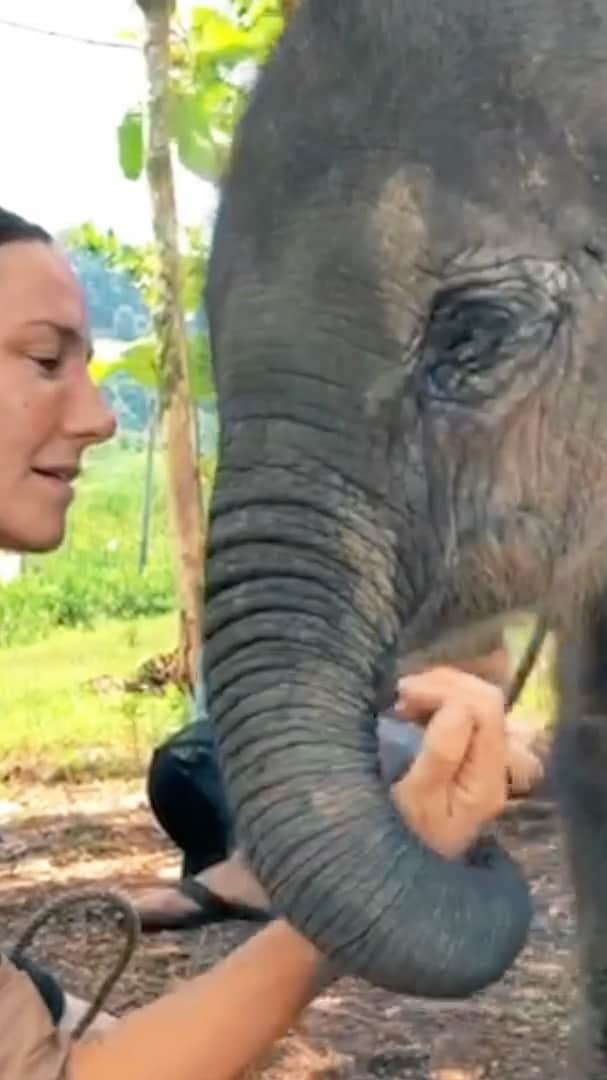 ブリアナ・エヴィガンのインスタグラム：「In memory of a year ago today I’ll just go ahead and repost our North Sumatra trip... I miss trekking for hours and finding wild orangutans. I miss the feeling behind spotting a tiger print and getting the thrill of what could be. I miss setting up camp to sleep under the stars in the deep forest and listening to the insects and animals go by. I’m missing all of the beautiful souls I got to meet and adventure with on this trip... but mostly I just miss being in the wild, the unknown of a day that can come your way in the forest, and walking along the rivers, listening to what it has to teach us. I look forward every day to being back. 🐘💨🧡 #adventure #leusure #sumatra #junglelife #takemeback #salma #keepthewildwild @outtherewithpaulhilton @paulhiltonphoto @timmycarhart @ridgeproduction」