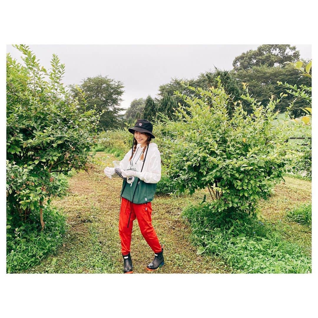 紗栄子さんのインスタグラム写真 - (紗栄子Instagram)「最近の私は毎朝6時起きで、1日の1番最初のお仕事は、ブルーベリー摘み💖  wear @numeroventuno × @fila_japan_official  #n21xfila  boots @hunterboots」8月5日 14時00分 - saekoofficial