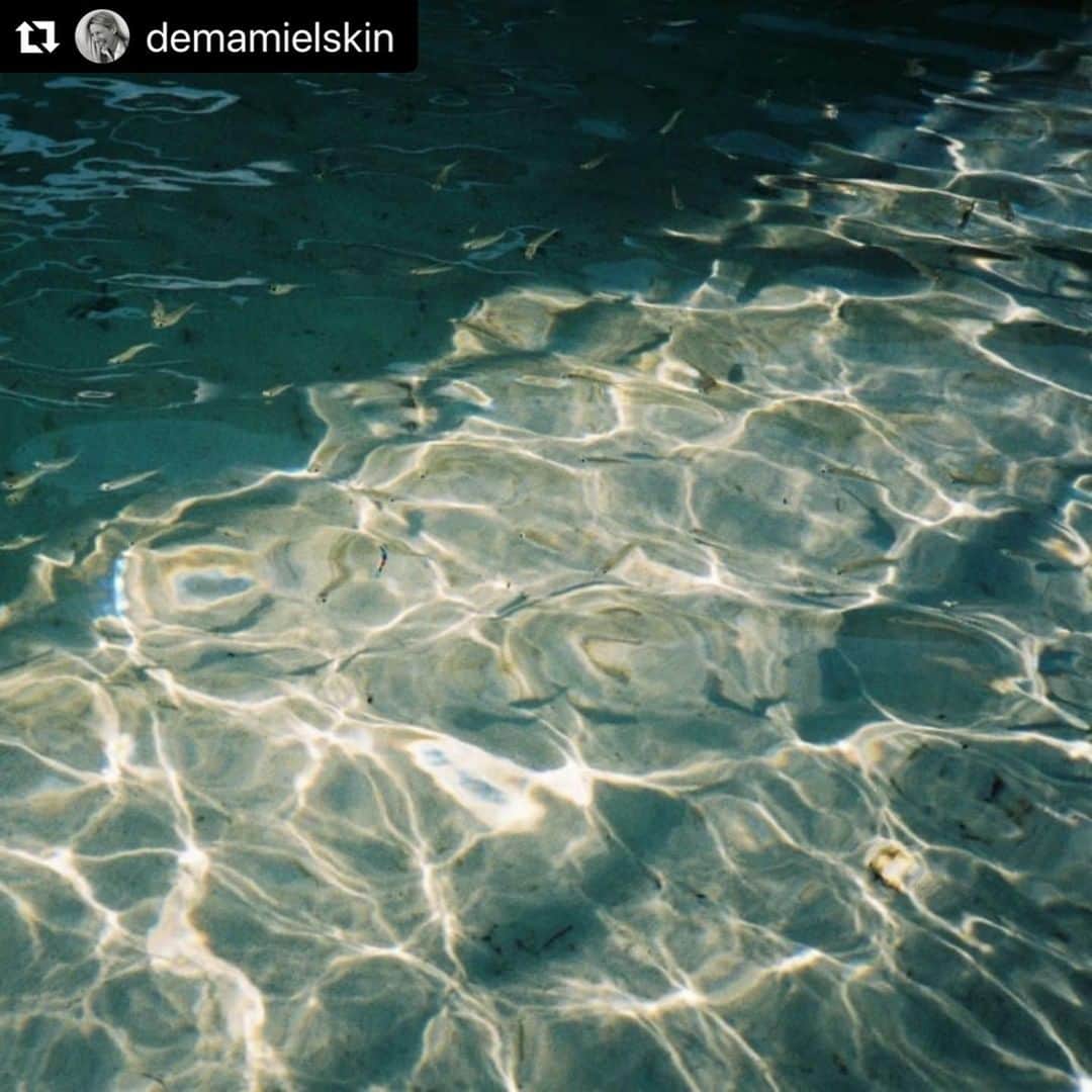 のインスタグラム：「夏のストレスを抱えた肌に。 夏らしく日が照り付ける日々は、気分を高めて楽しい気持ちにしてくれる一方で、その気温は肌にとって負担でもあります。あせも、日焼け、いつもより敏感な肌…悩みが何であれ、「困ったときはコレ！」と頼れて、自分の心と肌を落ち着かせる定番、安定のレスキューセットを持っておくのは良いことです。  猛暑であっても肌をクールダウンさせ落ち着けるには、私たちの「デューウィ フェイシャルミスト」がぴったり。香りが良いだけでなく、ヒアルロン酸、保湿効果の高いハーブエキス、植物由来のペプチドを豊富に含んでいます。これらの成分はコラーゲンの生成を活性化、細胞再生を促進、プロバイオティクス(人体に有益な微生物)を刺激して皮膚のpHのバランスを整え、バリア機能を高めるなどの効果があると言われています。肌ストレスを感じる時、肌をリフレッシュさせたい時、洗顔後はもちろんメイクの上からでも一日を通してお使いいただけます。冷蔵庫で冷やしておくと顔に吹きかけた時にひんやりしておすすめですよ。(化粧水が冷たすぎると肌には刺激となりますのでご注意を。体温より少し冷えた程度の温度が好ましいです。)  太陽光によって赤みを帯び敏感になった肌、日焼けした肌を落ち着かせるのであれば、炎症を鎮めるといわれている精油ベースの植物オイルそしてエキスを、考え抜き夏用にブレンドした美容オイル「シーズナル フェイシャルオイル サマー」以上のものはありません。保護作用のあるイブニングプリムローズとローズヒップシードオイルが太陽に晒された肌を癒すのを助け、エキウムが赤みを落ち着かせます。夜、いつものスキンケアルーティンの最後に加えれば肌をしっかりと修復してくれるわ。 -Annee  #cleanbeauty #naturalbeauty #organiccosmetics #deMamiel #cosmetics #skincare #ecofriendlyskincare #デマミエール #クリーンビューティー #スキンケア用品 #オーガニックコスメ #オーガニックスキンケア #スキンケア #ナチュラルビューティー #ボディケア #夏のスキンケア #ミスト #美容オイル #フェイシャルオイル #化粧水 #オイル美容 #精油 #ミスト化粧水 #ハーブのある暮らし #植物療法 #フィトテラピー #アロマテラピー #アロマのある暮らし」