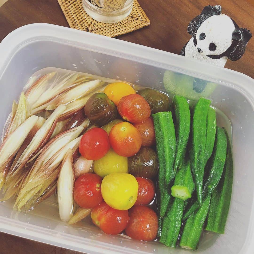 井上侑のインスタグラム