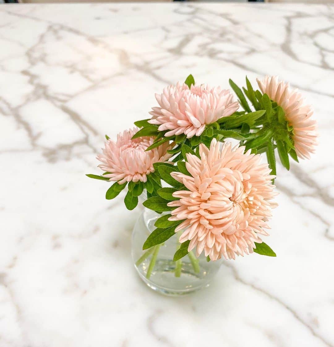 林弓束さんのインスタグラム写真 - (林弓束Instagram)「可愛い花たちがまたまたやってきましたー💐 #hitohana でおすすめのブーケをお願いしていくつかの花瓶にわけていろんな場所に彩りを🌸🌼 そろそろ新しい花瓶がほしいところ。 ところで君たち名前は？ 新しいお花との出会いです💐 . . #花のある暮らし #花 #花瓶 #花のある生活 #花のあるくらし #フラワーアレンジメント #フラワーベース」8月5日 14時43分 - hayashiyuzuka