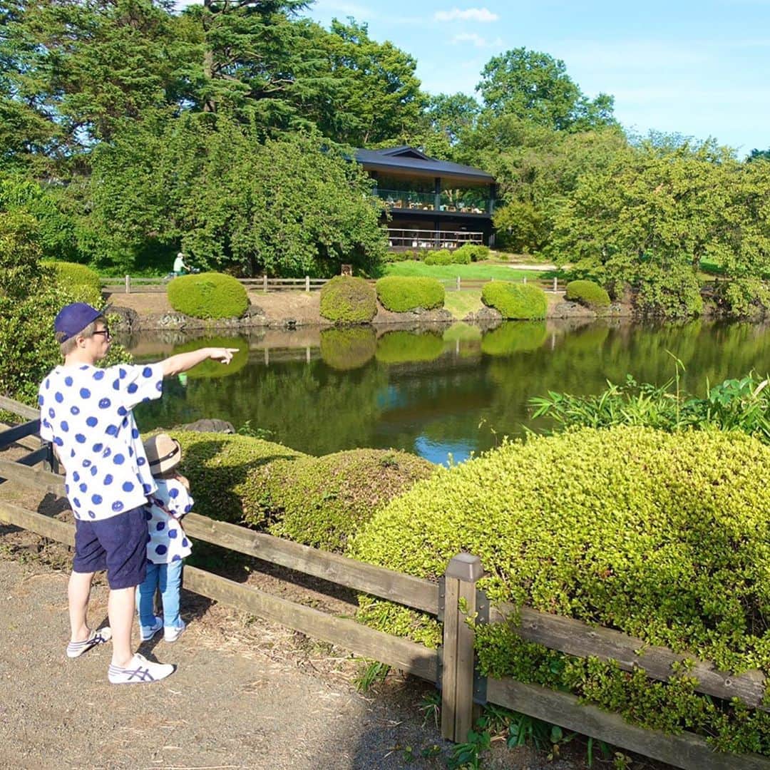 田村淳のインスタグラム：「パパここの水抜かないの？ 今日はお休みだから抜かないよ… カメさん取って欲しい… 今日はお休みだから取らないよ…  娘からのピュアなお願いに負けて、立ち入り禁止じゃなかったら入る所だったよw」