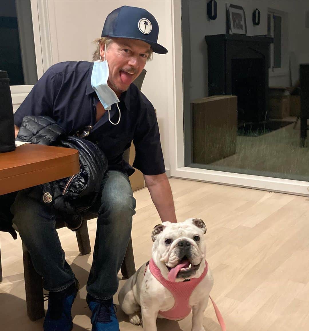 のインスタグラム：「This little partier is Junebug. She is a terrorizer. Dont be fooled by calm disposition. Rt after this she ate the leg off a chair. 👅 👅」