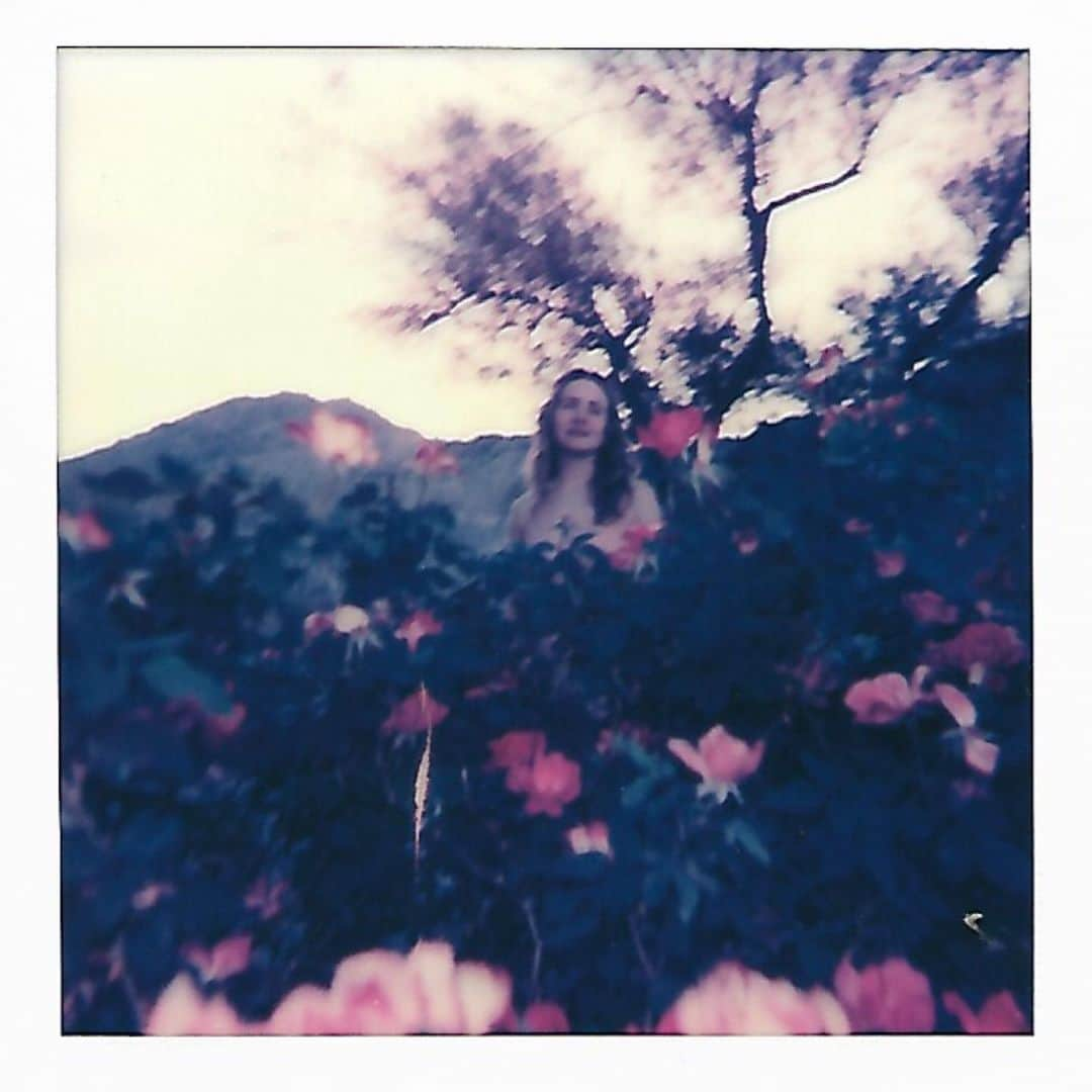 シェリー・ヘニッヒさんのインスタグラム写真 - (シェリー・ヘニッヒInstagram)「Hey @brittlrobertson @phoebejtonkin I finally got our polaroids developed」8月6日 0時38分 - shelleyhennig