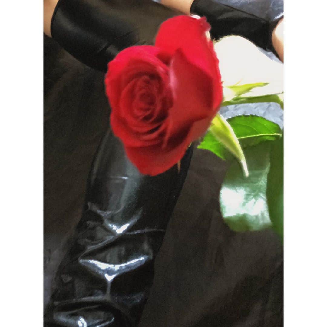井川ちさと（新尾きり子）のインスタグラム：「I pray that the LORD will bless and protect you forever- Numbers 6:24 ﻿ 💎💎💎💎💎﻿ Countless﻿ 💐💐💐💐💐」