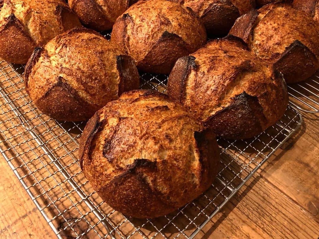 CHIPPRUSONのインスタグラム：「Pain complet  パン・コンプレ  全粒粉のパン  冷凍→ 自然解凍→ スライスして断面に軽く霧吹き、トースターで3分ほど芯まで温めると、ふんわりした食感、焼き立ての香りが戻ります。大阪で無農薬栽培に取り組まれている寺田さんのスペルト小麦全粒粉を50%配合。乳製品と豆乳、太白胡麻油をミックスした味わいが、単純に乳製品だけで作るより、更に奥行きのある旨みになっています。  ほんのり甘くてやさしくて、噛み締めるほどにもっと噛みたい！！と思えるもの。一番食べたかったパンの味。初めてなのに懐かしい。硬いパンばかり焼きたいけど、硬すぎるパンは食が進まない… コンプレがあると、もう一切れ、、、とついついつまみ食いしちゃいますね😂」