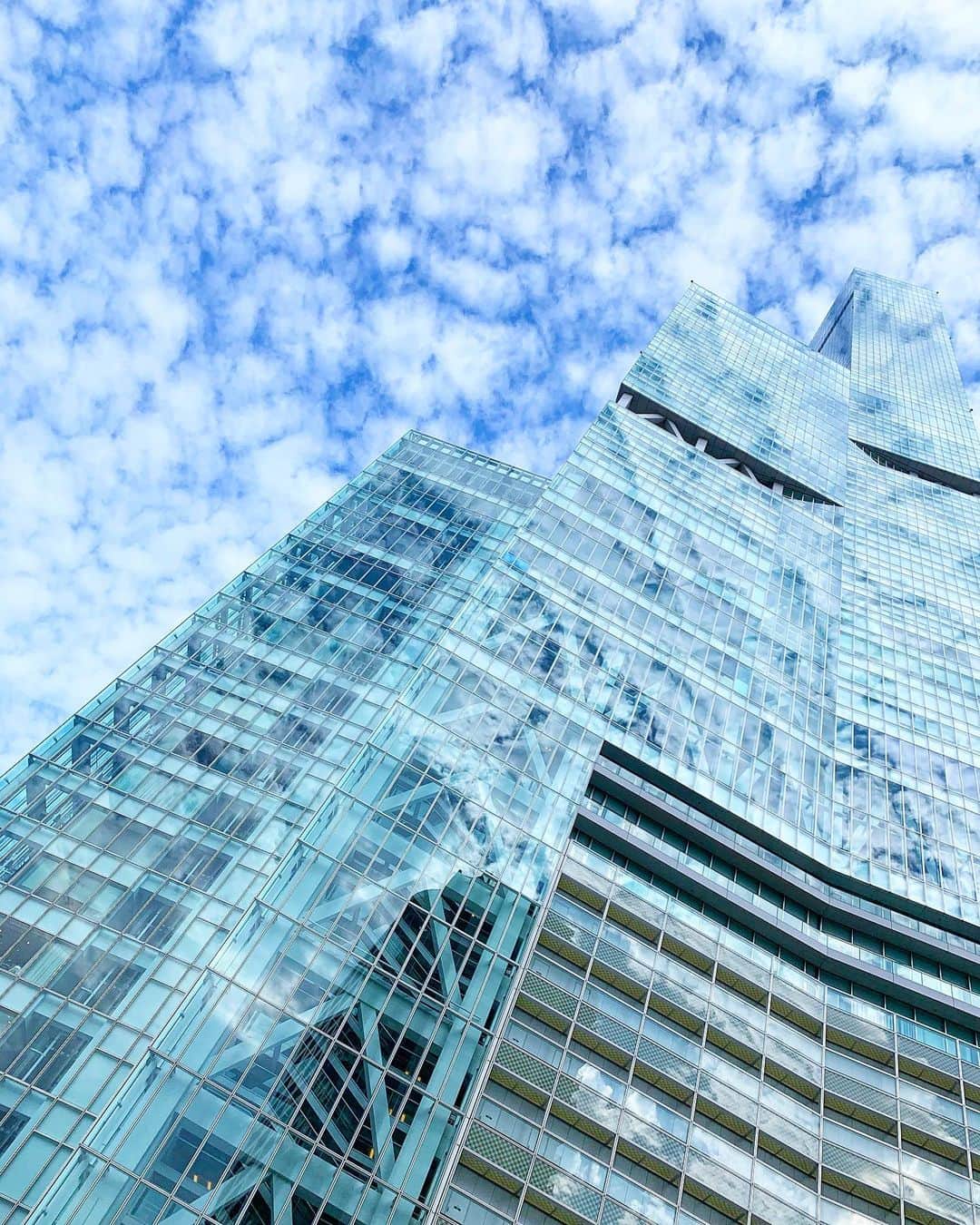 みき みーやんさんのインスタグラム写真 - (みき みーやんInstagram)「昨日撮った写真♡ . あべのハルカスが 青い空と白い雲に染まってた🥰💕 . 綺麗すぎ♡ . #japan #japan_of_insta #japan_photo #osakajapan #あべのハルカス #阿倍野 #天王寺 #空 #雲 #写真好きな人と繋がりたい #空好き #skyphotography #photo_jpn #photo #bluesky #大阪 #ハルカス」8月5日 17時02分 - mi_yan0101