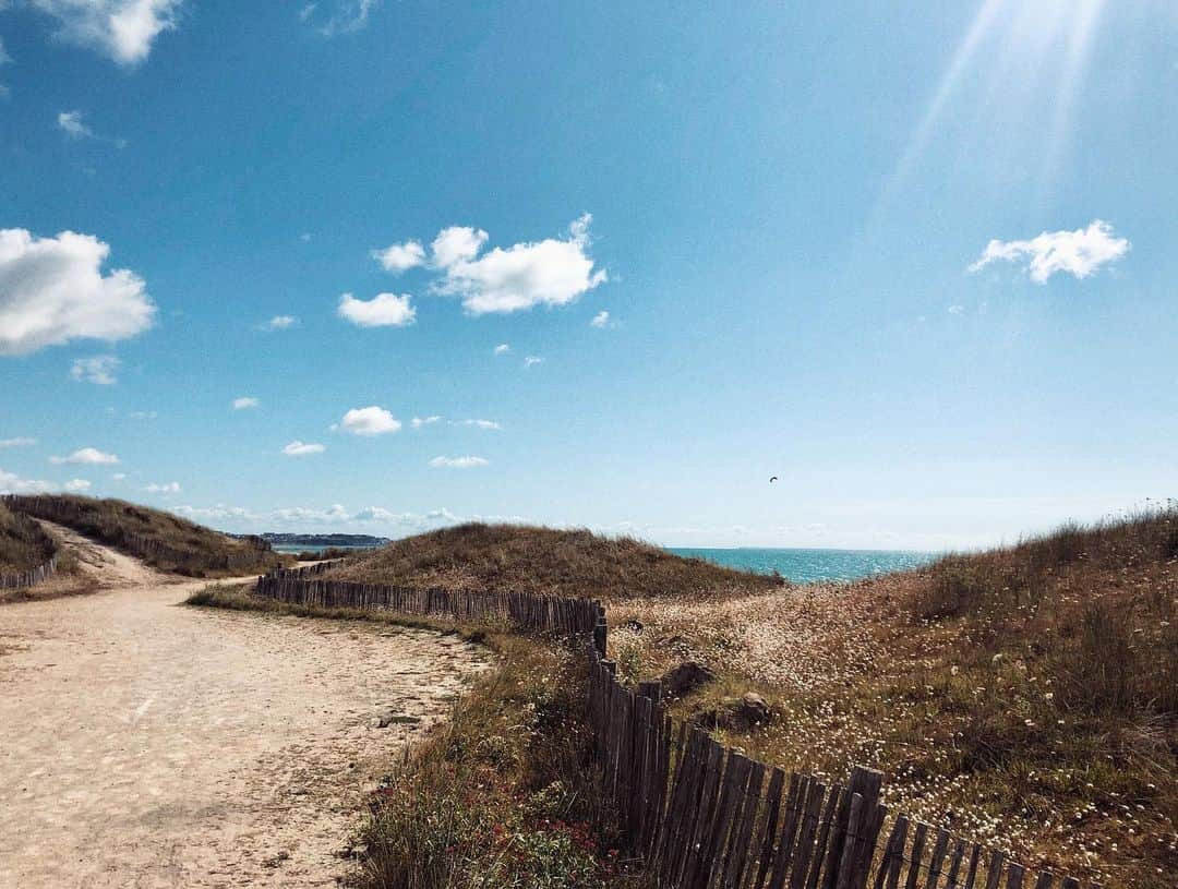 シグリッド・アグレンさんのインスタグラム写真 - (シグリッド・アグレンInstagram)「Normandy summers ☀️🌊🌼💙 #normandie #naturelovers #oceanview #oceanlife」8月5日 17時05分 - sigridagren