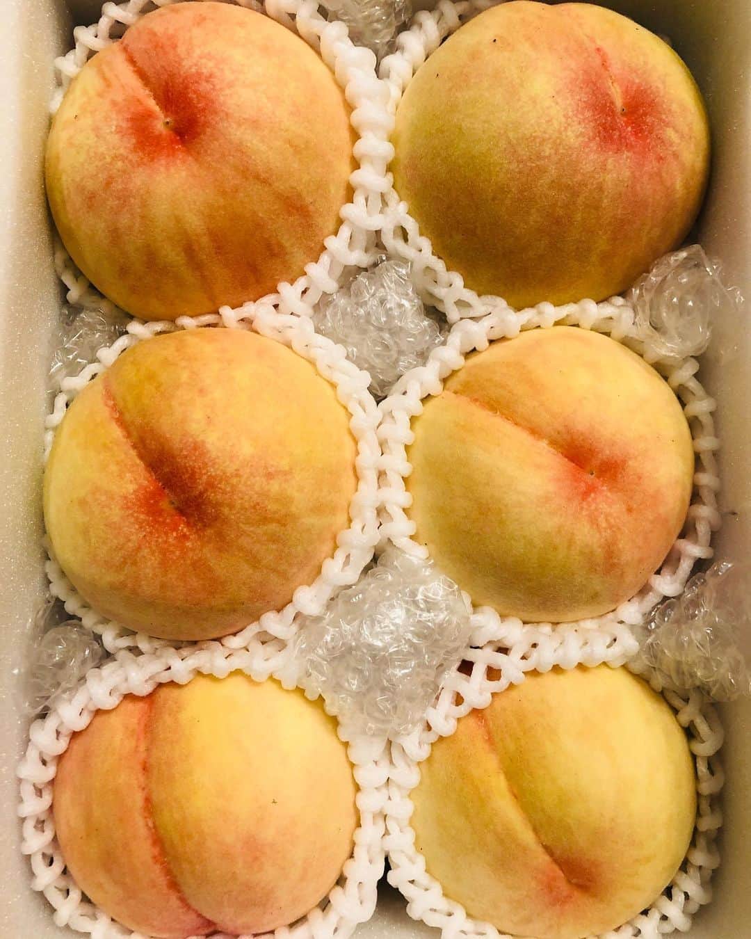 狩野舞子さんのインスタグラム写真 - (狩野舞子Instagram)「・ 清水白桃が届きまして😍 すぐに1つペロリ🍑 モッツァレラチーズを乗せてカプレーゼ風にペロリ🧀 ・ この上ない幸せな時間でした…🤤 よしこれで声を大にして言える。 私が1番好きな果物は桃だ！！！笑 ・ 友達に感謝🤝ありがとう\( ˆoˆ )/ ・ #清水白桃 #🍑 #桃のカプレーゼ  #ウマイコ」8月5日 17時13分 - kanochan715