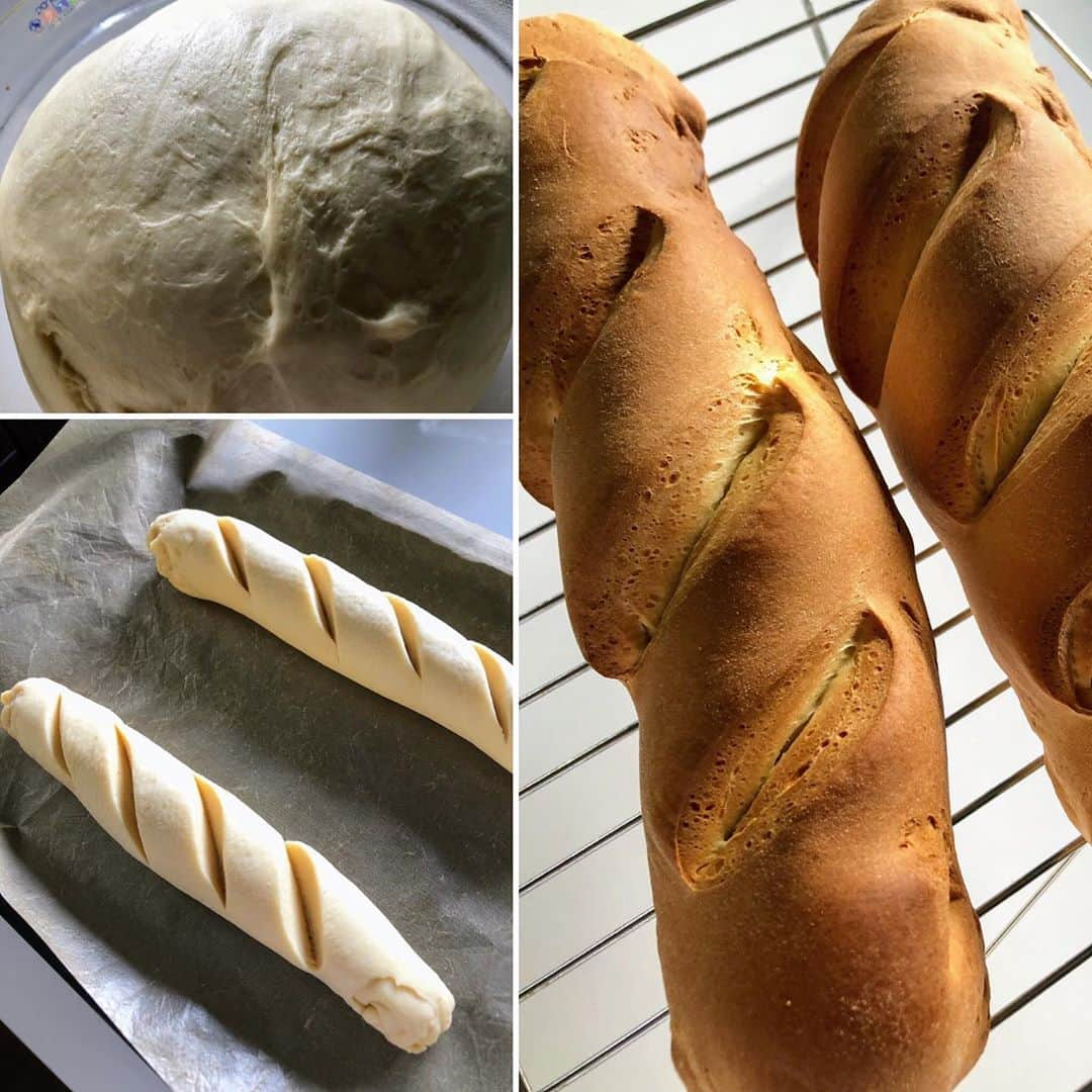 中野佑美さんのインスタグラム写真 - (中野佑美Instagram)「. . ココなっつと🥖😋 . .  暑いですね〜😡💦 こんな日は　すぐに発酵してくれるんです！ . 久しぶりにソフトフランスパン焼いてみました🥖 う〜ん　いい香りだね♪ . . ココなっつ🥖に近い近ーいよ笑😆  . . . #ココなっつ  #きょうのわんこ  #といぷーどる  #ぽめらにあん  #いやしわんこ  #わんこのいる生活  #いぬのいる暮らし  #手作りぱん  #ぱんづくり  #夏は発酵はやいわー」8月5日 17時15分 - yumi.coconutsu