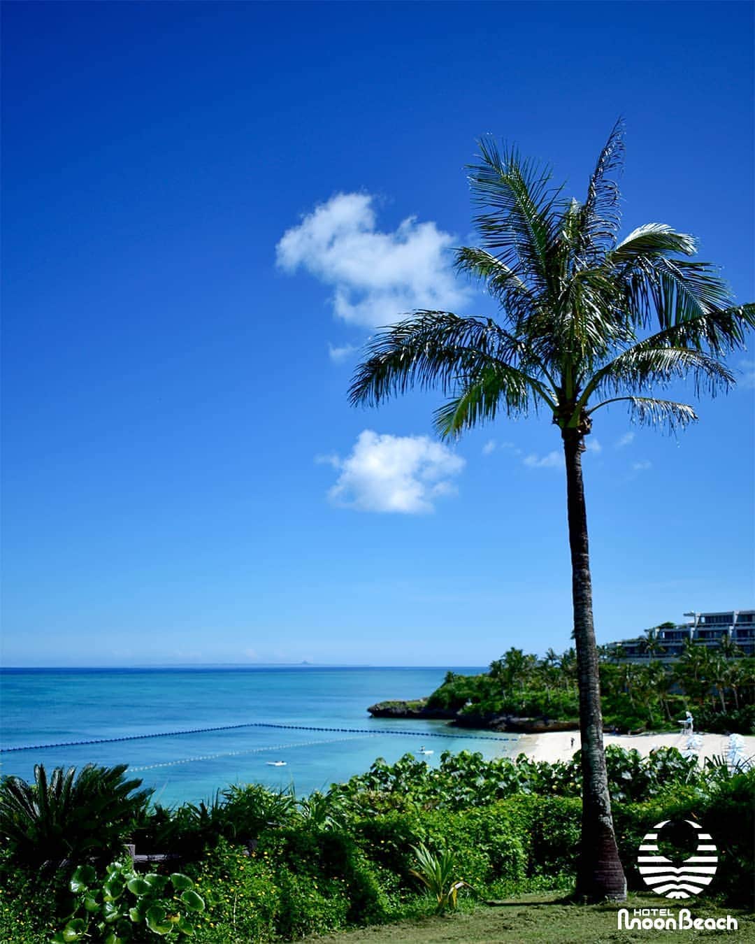 ホテルムーンビーチさんのインスタグラム写真 - (ホテルムーンビーチInstagram)「7月22日、青い空、青い海。ここ数日沖縄は煙霧で青空が遠ざかっていますが、天気が良い日は遠く伊江島まで見渡せます。Bluesky,Blueocean 22Jul2020 #沖縄 #恩納村 #沖縄ホテル #沖縄リゾート #沖縄観光 #沖縄旅行 #沖縄ビーチ #インフィニティプール #沖縄好き #沖縄好きな人と繋がりたい #ホテルムーンビーチ #ムーンビーチ #ムーンビーチホテル #okinawa #onnason #okinawabeach #okinawahotel  #okinawatrip #okinawasunset #okinawalikes #okinawalabo #okinawa_life #hotelmoonbeach #moonbeach #moonbeachhotel #docomomo #japan #visitjapanjp #gotoキャンペーン #gototravel」8月5日 18時06分 - themoonbeachmuseumresort