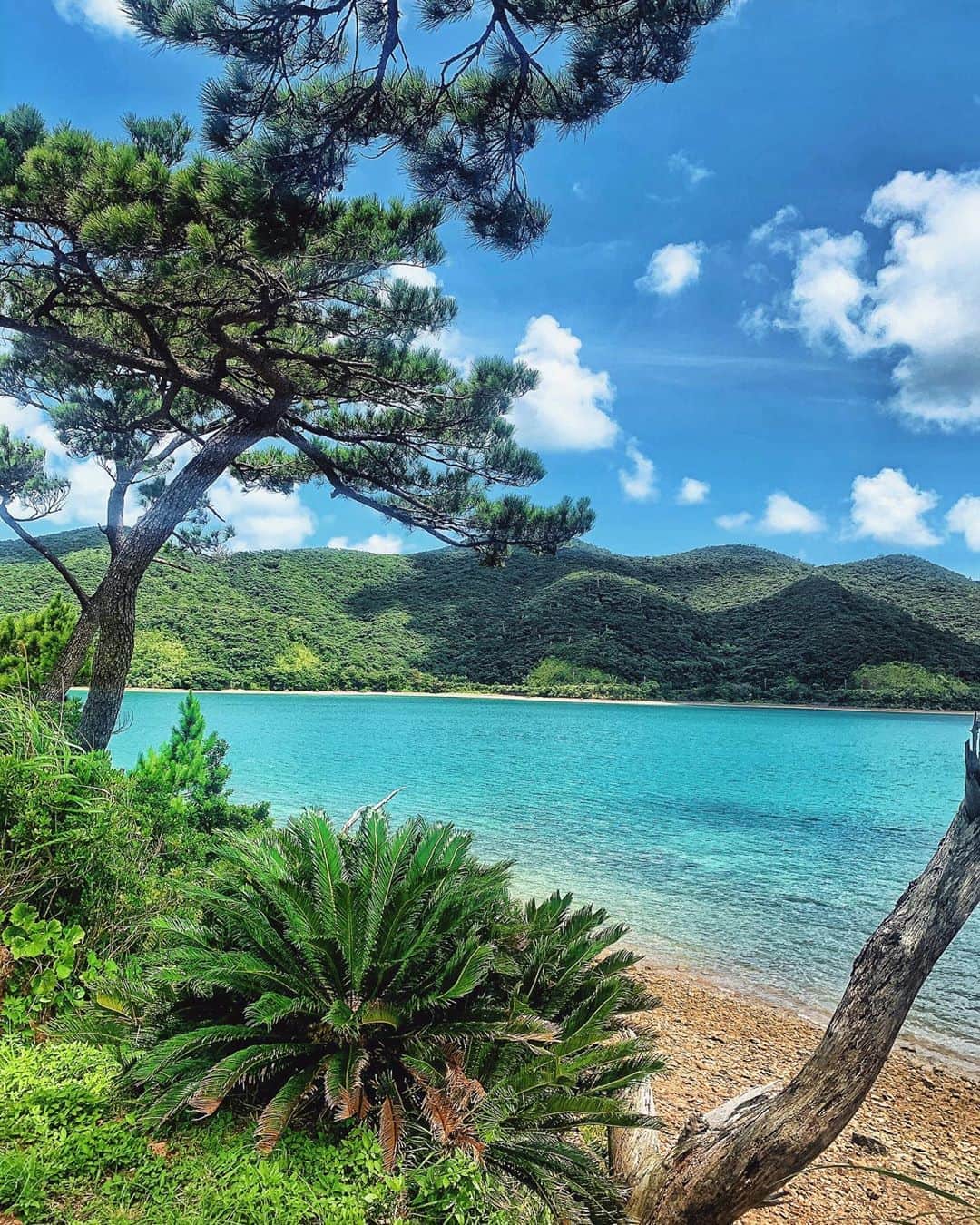 里海さんのインスタグラム写真 - (里海Instagram)「ほんとーに綺麗な島🏝 #奄美大島 曽祖母と祖母の生まれた地😌」8月5日 18時16分 - satoumi0330
