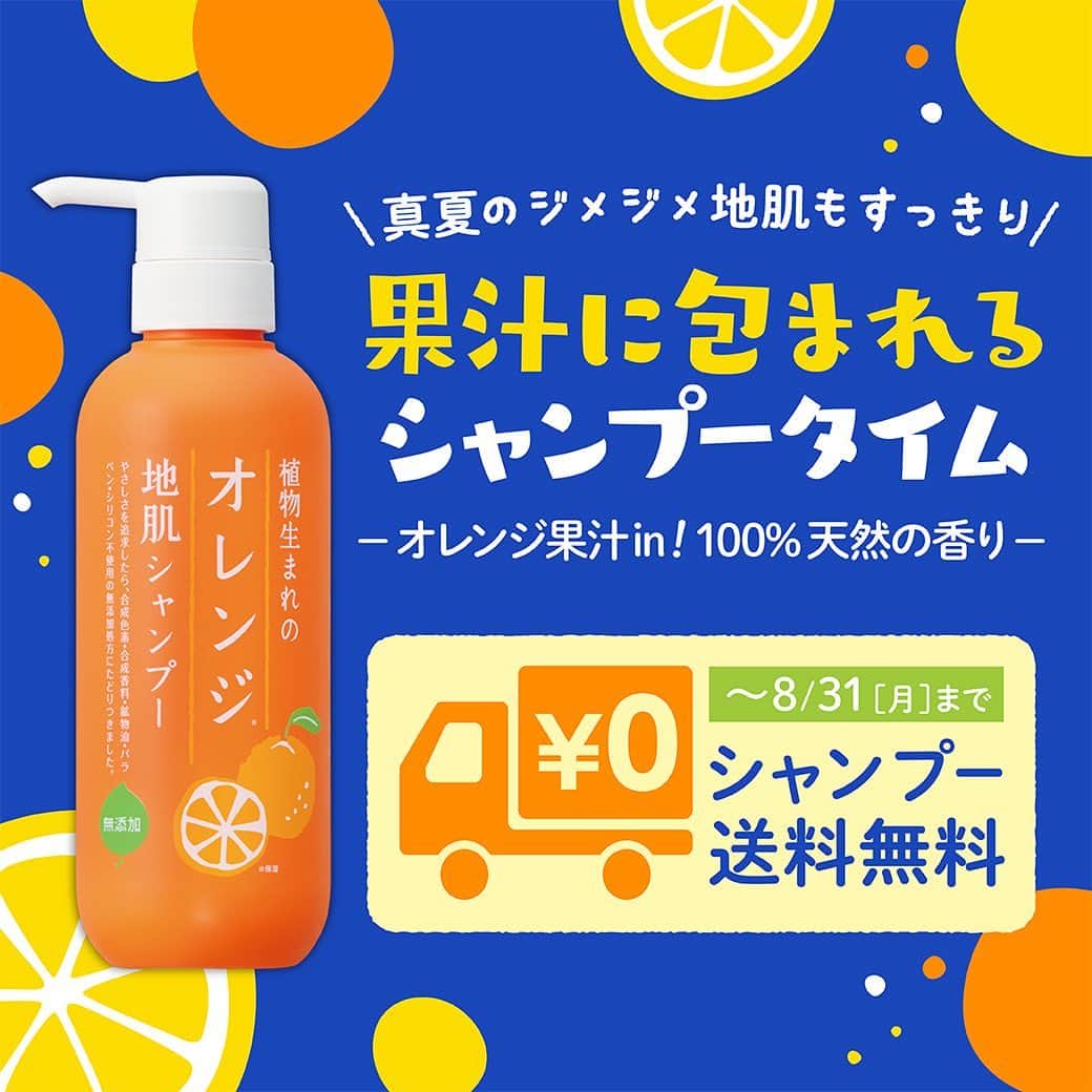 石澤研究所さんのインスタグラム写真 - (石澤研究所Instagram)「夏の地肌すっきりキレイ✨ニオイ、ベタつき…敏感地肌も毛穴までさっぱり。爽やかな天然オレンジの香りがバスルームいっぱいに広がります🍊  もわっとする暑い夏は、果汁に包まれるシャンプータイムで、地肌も心もすっきりHAPPYに過ごしませんか😆？  https://www.ishizawa-lab.co.jp/orange-n/shampoo_cp.html  #植物生まれ #植物生まれのオレンジ地肌シャンプーN #植物生まれのオレンジ地肌シャンプー #オレンジ地肌シャンプーN #オレンジ地肌シャンプー #オレンジシャンプー #シャンプー #ヘアケア #弱酸性 #ノンシリコン #夏 #コスメ #夏コスメ #石澤研究所」8月5日 18時18分 - ishizawalab