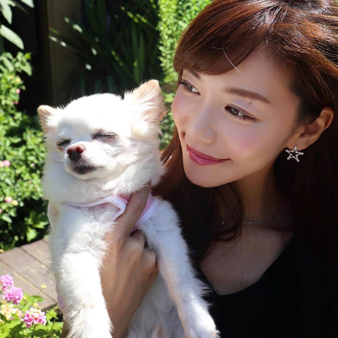 福山唯のインスタグラム：「大好き❤ . . この日もとっても良いお天気だったね🌻 眩しかったね🙈☀️ . . おじいちゃんになって体が弱くなってしまってるから、今は外の空気を吸ったり、通る車を見たりくらいしかできないけど元気にお部屋を駆け回る姿が愛おしい💗ごはんもしっかりわがまましてるね😂 . .  #chihuahua #mydog #dog #dogstagram  #チワワ  #愛犬　#くぅ　♡♡♡」