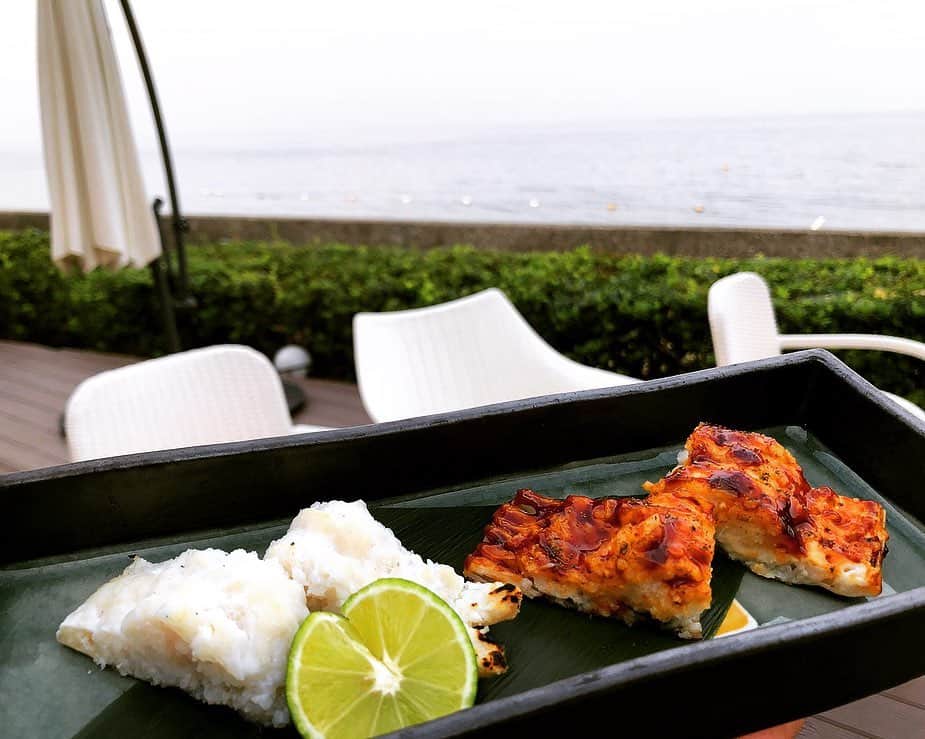 藤井美加子のグルメインスタ