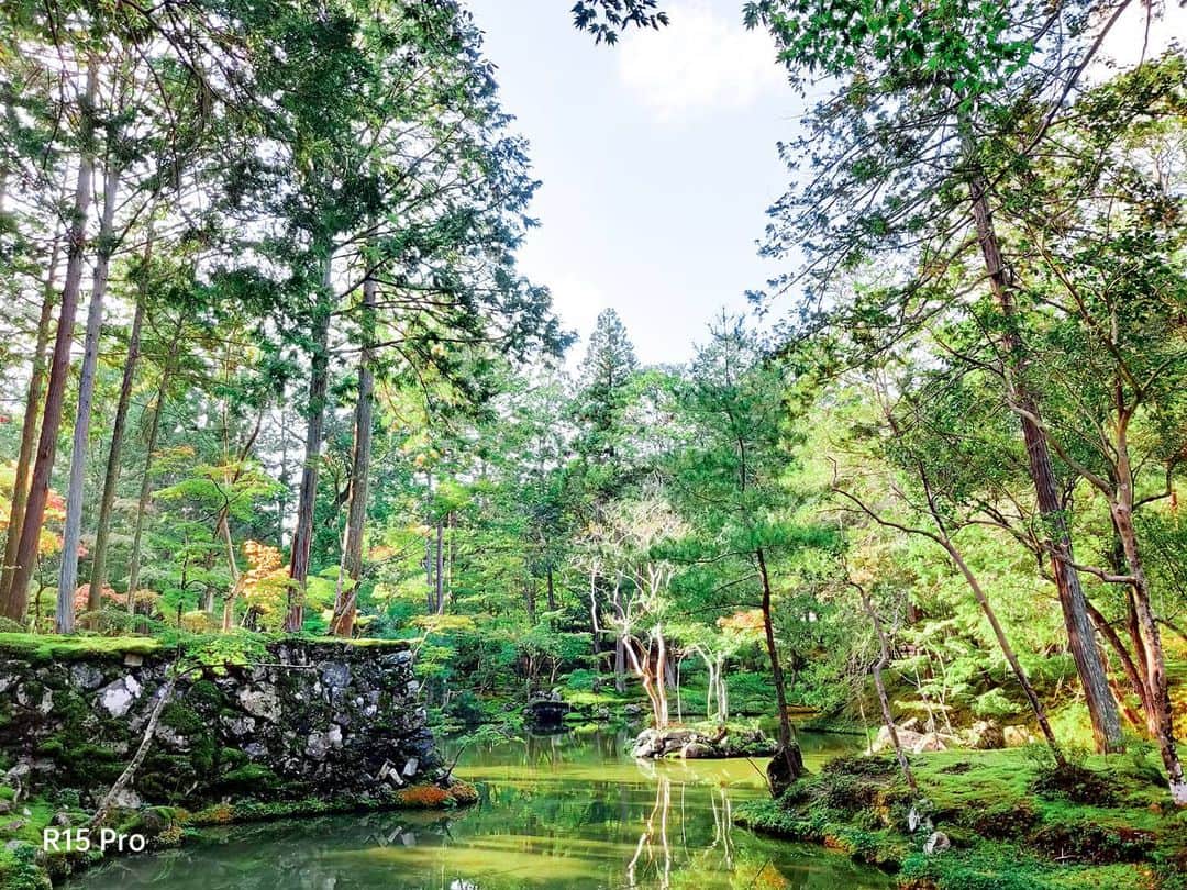 OPPOさんのインスタグラム写真 - (OPPOInstagram)「溫和的陽光 清閒的湖邊 森林漾著的綠意 就是喜歡這樣的日子 不慌不忙、慢活美好🌤️」8月5日 19時15分 - oppo_taiwan