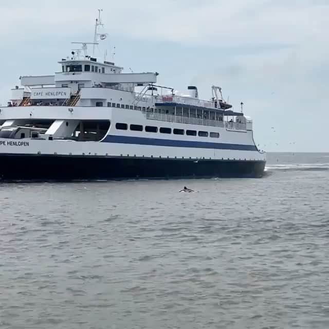ビラボンのインスタグラム：「3̶ ̶t̶o̶ ̶t̶h̶e̶ ̶b̶e̶a̶c̶h̶ 30 to the harbor. ⠀ ⠀ When the forecast is as bad as it’s been, you take things into your own hands. @robkellysurf, innovating.」