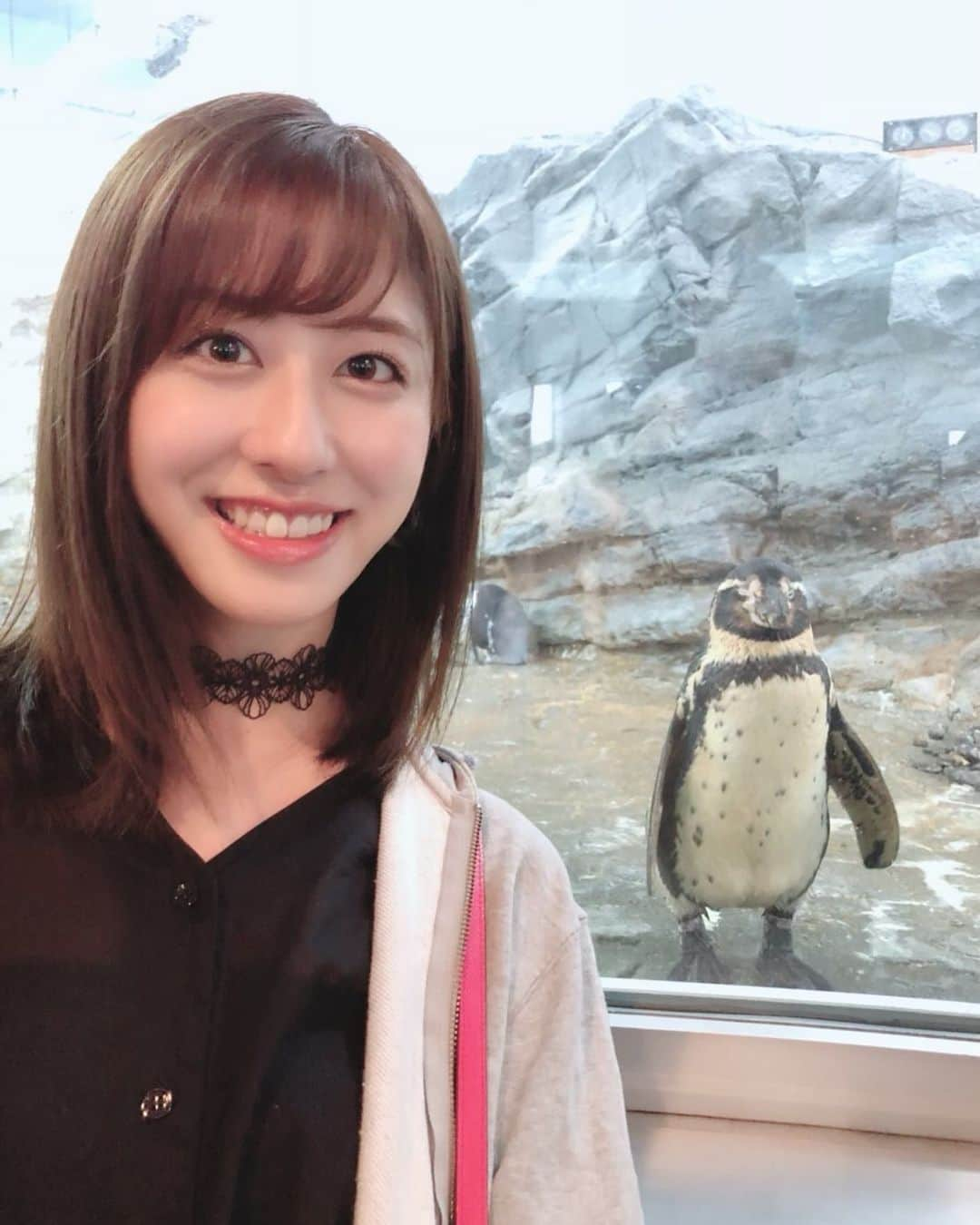 斎藤ちはるさんのインスタグラム写真 - (斎藤ちはるInstagram)「ペンギンとツーショット🐧 . . 2年前に旅行した時の写真です！ . 嬉しくて目がギラギラしてる😳😂 . . #ペンギン #こっちを #見てくれているのかと #思いきや #目つぶってる #…？？ #興奮した私の #ただの思い違いでした #かなしい #この暑さの中 #大丈夫かな #ペンギン さんたち . . #斎藤ちはる#テレビ朝日アナウンサー#テレビ朝日#テレ朝#アナウンサー#思い出#旅行#2年前#2018#夏#ツーショット#2shot#動物#可愛い#🐧」8月5日 20時13分 - chiharu_saito_ex