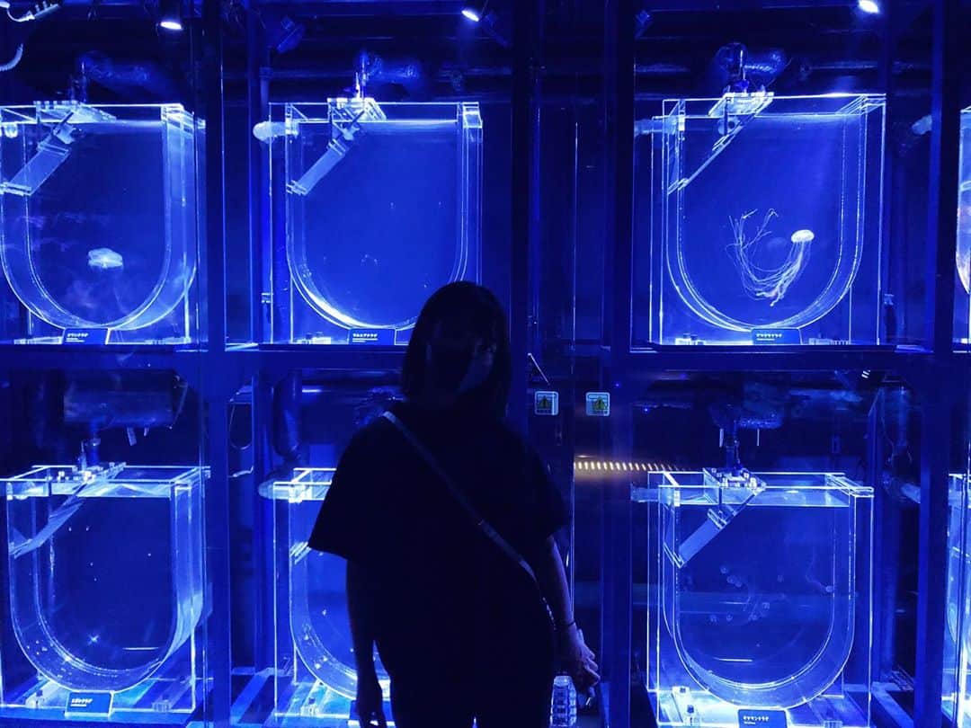 塚本美玲のインスタグラム：「癒された🐧💭 ﻿ ﻿ #海月 #すみだ水族館」