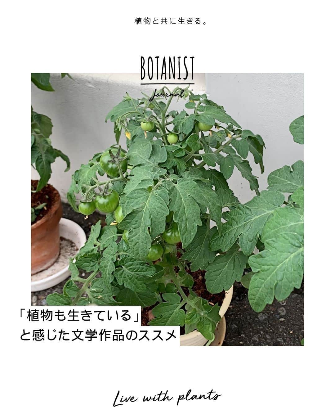 botanist officialのインスタグラム