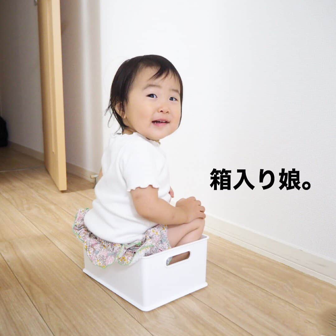 makikoさんのインスタグラム写真 - (makikoInstagram)「❤︎わが家の箱入り娘📦💕﻿ ﻿ そこに箱があればまずは入ってみなきゃ気が済まない😂﻿ ﻿ #箱入り娘 #箱好き #気づけばよく箱に入ってます #箱から出てきて近づいてきた﻿ #1歳 #生後23ヶ月 #女の子 #親バカ部﻿」8月5日 21時01分 - batako93