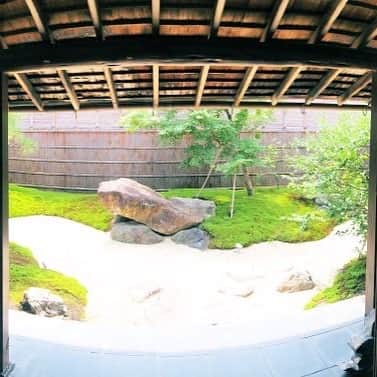 藤田琢己さんのインスタグラム写真 - (藤田琢己Instagram)「nice japanese garden.   ロケ先の素晴らしい景色。  #garden #japanesegardens #japan #homecominglive」8月5日 21時18分 - takumifujita1