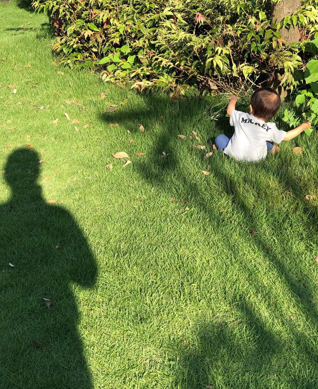 加藤未央さんのインスタグラム写真 - (加藤未央Instagram)「木と草とお花をこよなく愛す息子になっています。🐥 #いわゆる草食系男子、、？」8月5日 21時36分 - mio.ka10