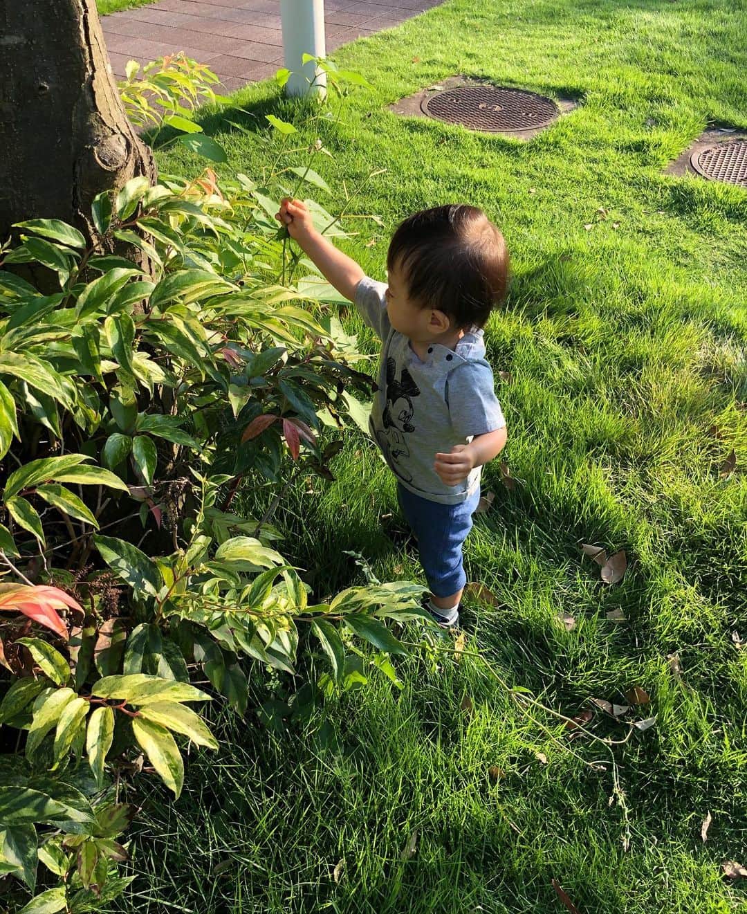 加藤未央さんのインスタグラム写真 - (加藤未央Instagram)「木と草とお花をこよなく愛す息子になっています。🐥 #いわゆる草食系男子、、？」8月5日 21時36分 - mio.ka10