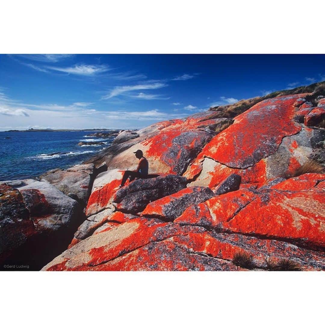 Gerd Ludwigさんのインスタグラム写真 - (Gerd LudwigInstagram)「An Aboriginal inhabitant of “The Corner” relaxes on a coastal rock covered by blooming lichen. “The Corner,” a small settlement of 66 people on Cape Barren Islands, is 90% Aboriginal.  Today, there are disputes as to if there are any surviving full-blooded Aboriginals, mainly as a result of brutal annihilation campaigns by colonizers in the 19th century. Today, an estimated 6,000 people in Tasmania have Aboriginal lineage, many of them living on the Furneaux Islands (Flinders, Clarke and Cape Barren). Though still facing racism, they have recently begun to regain their cultural identity.  @thephotosociety #Tasmania #Aboriginal #CapeBarrenIslands」8月5日 22時00分 - gerdludwig