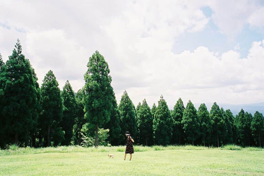 Aya（高本彩）さんのインスタグラム写真 - (Aya（高本彩）Instagram)「私の大好きなお友達デコさん。 デコは自分のこと人間だと思ってる🐶 人の話はあまり聞かないけどほんとは全部聞いてて色んなことに敏感。 凄く優しくて寂しがりやさん。 ローソンをみつけるとからあげくんもらえると思って歩かなくなる。（もらえないのに🤣） そんなデコは 最近14歳のお誕生日を迎えてお誕生日当日にお祝いできたんです。  たくさんお肉食べれて幸せそうでした🥩  デコ本当におめでとう❤︎ずっとずっと元気におってねー‼️  @decostagram_0729   #デコ#人間#チワワ#photobyaya」8月5日 22時43分 - aya_dream04